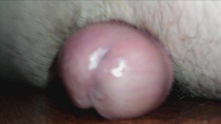 Hump That Floor Good Make It Shine