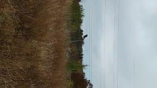 Dominant Man Gives His Cock Some Air On Top 🔝 🎩 Of A Hill While Being Followed
