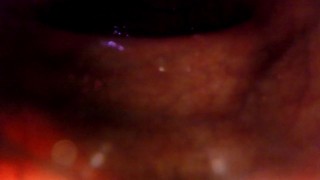 POV: Gulping you into the tip of my transverse