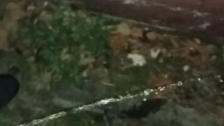 Sean takes a night outdoor piss