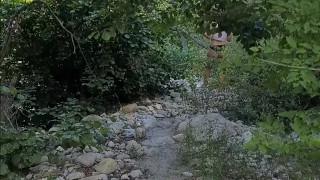 My wife showing off at the park & Twerk - PAWG - Public Flashing - Big white ass