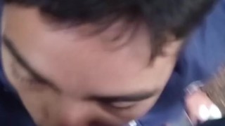 Becerro a la salida del boliche!