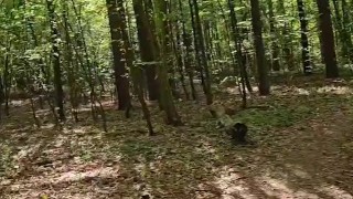 We got horny during the hike | PORN VLOG