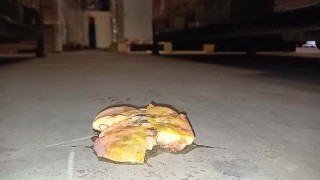 Peach Crush & Trample Walkover