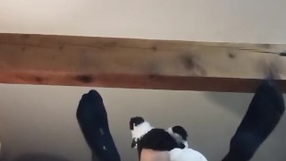 Average height fag puts on kitty getup before meowing for you