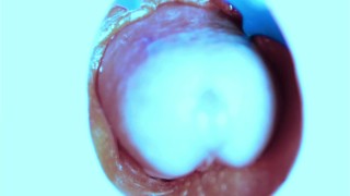 How I fuck from the inside! Camera inside!