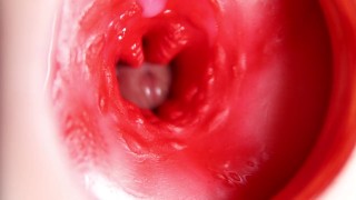 This beautiful pussy is pulsating and squeezing my cock! Camera inside the hole!