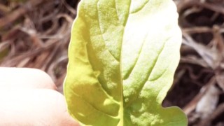 Tranquilidad absoluta