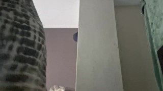 Moviendo en twerk en mi cama antes de anochecer