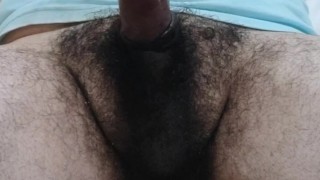 GOLPEO MI VERGA PARA QUE SE PORTE BIEN Y LE TRAIGAN REGALOS NAVIDEÑOS 🎁🤛🏻❄️ (SÓLO EN 0NL¥F∆N§)