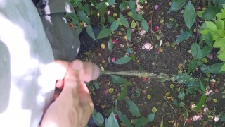 Gardener takes a piss #1