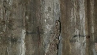 pissing in public garage