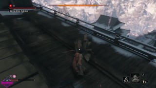 Sekiro Shadow Die Twice | Sekiro vs Genichiro | 4k 60fps