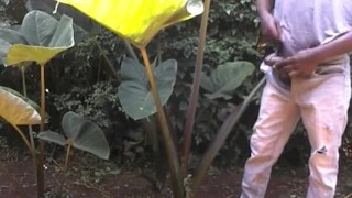 ALMOST CAUGHT BY PEOPLE WANKING OUTSIDE