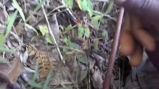 MOANING LOUDLY IN THE WOODS WHILE MASTURBATING