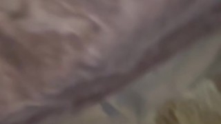 Parent Teacher Conference Got Creamy 💦