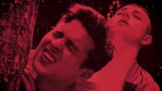 My New Cruising Friend