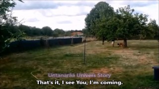 Arrivée de cette femelle inférieure chez la future Propriétaire. VOST engl