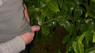 Winter pee compilation