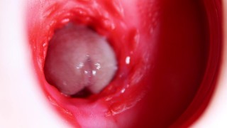 Nice big head slides inside best friend's sweet shiny hole!