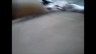 sex arab🔥بالراحة يا أحمد عدك كبيرر مش قدراا أتحمل أح أح