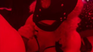 Sucking dick until he comes on my boobs