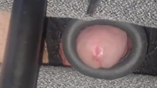 When The Streamer Is Away Straight Edge Chair Will Slay Kappa Dangling Close Up Cock Twink Shorties