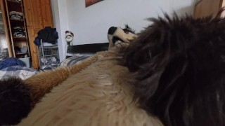 The Day After