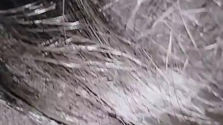 Indonesia viral!! Ngentot dengan sopir angkot sampai dia muncrat di pantatku - Evesyantika