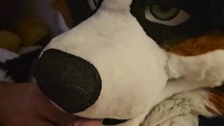 @LewdMindedLynx helps @AngryBarks through his rut week 🔥 cums inside 💦 and on his feet paws 🐾