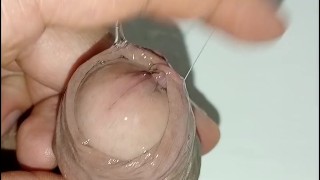 hombre desesperado pissing, gran erección y venas brotadas