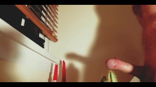 Stay Hard Challenge - Cactus! Big Cock Kink