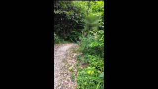 全裸でお散歩～(^^♪