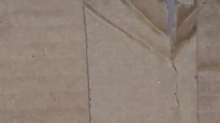 This Glory Straight Edge Hole Point Of Cock Box Dangling Close Up Cock Twink Shorties