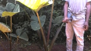 AFRICAN MAN ALMOST CAUGHT JERKING OFF IN PUBLIC