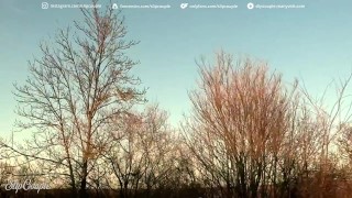 One hand on the steering wheel - one hand on the cock - risky public driving