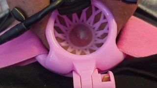 Estim with inverted chastity cage