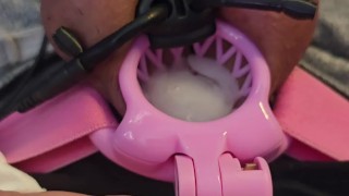 Estim with inverted chastity cage