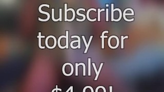 play with @AngryBarks Dogs must be !