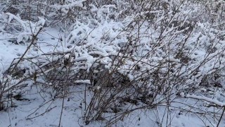 Quick sex in the toilet on the street - IkaSmokS