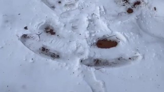 Did anyone order a snow angel?