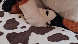 Elastrator Play w/ @Angrybarks