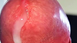 Twink red dick no hands cum