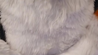 Elastrator Play with @AngryBarks Good Boys Get Neutered!