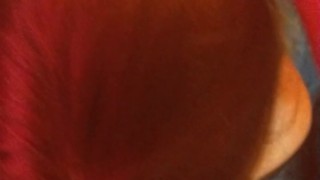 Pov hooker pulls down pants and starts licking and sucking dick enjoying the taste of cock in mouth
