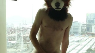 Crackers with a view