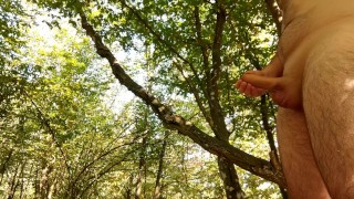 Calm long jerking off my big cock in public forest. Iamhornybobo