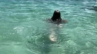 Um dia de praia… será que eu arrumei um amigo na praia?