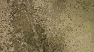 Desperate public piss outside my apartment