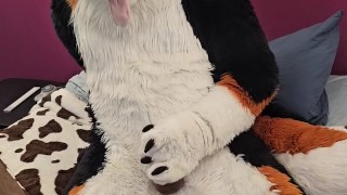 How long can you ride the edge of an orgasm for? One daring dog ventures to find out...